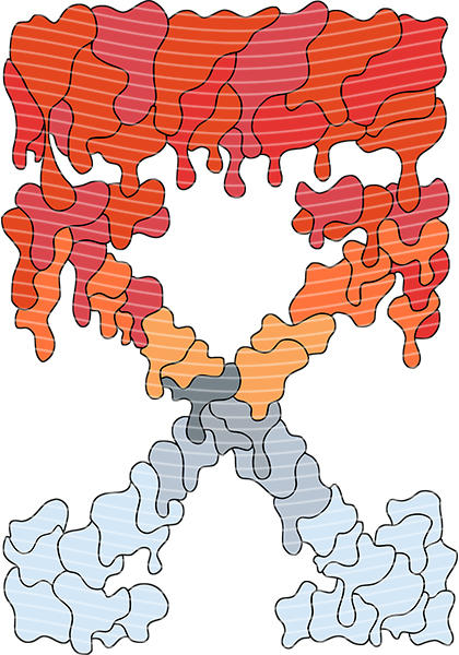 A5 Notebook Wraps-W-134